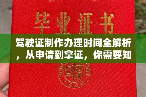 娄星驾驶证制作办理时间全解析，从申请到拿证，你需要知道的一切