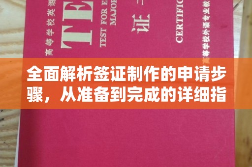 迪庆全面解析签证制作的申请步骤，从准备到完成的详细指南