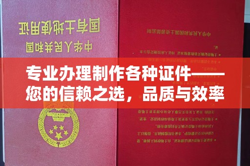 肥东专业办理制作各种证件——您的信赖之选，品质与效率的完美结合