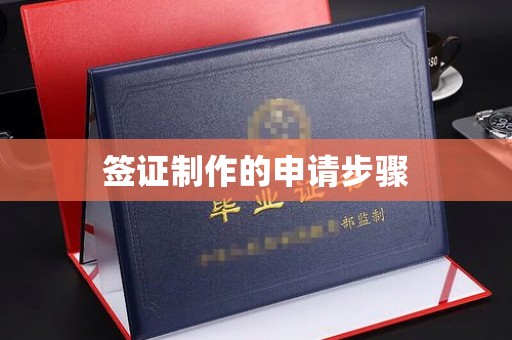 德城签证制作的申请步骤